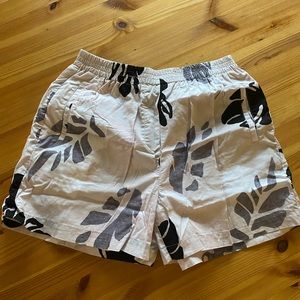 AritIa Babaton shorts